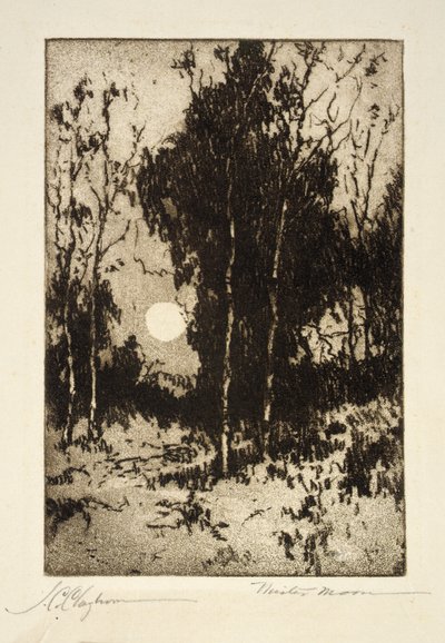 Mr Moon av Joseph C. Claghorn