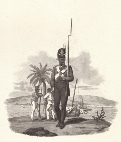 En menig vid 5:e västindiska regementet, c1812 1909 av Joseph Constantine Stadler