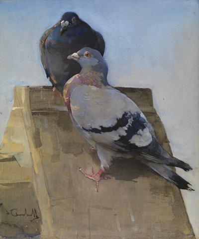 Duvor på taket (gouache på linne) av Joseph Crawhall