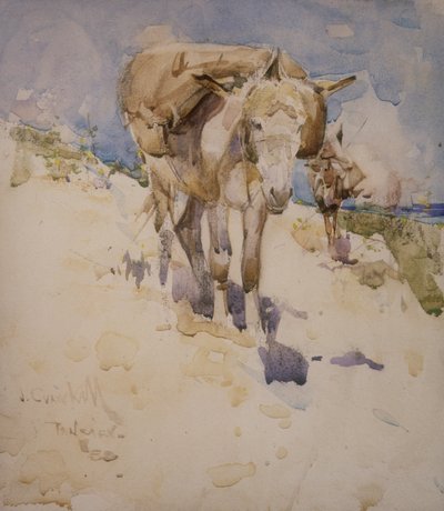 Tanger (wc på papper) av Joseph Crawhall