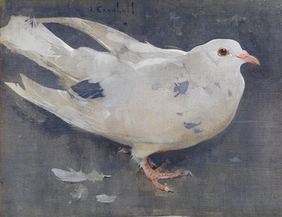 The Pigeon (gouache på linne) av Joseph Crawhall