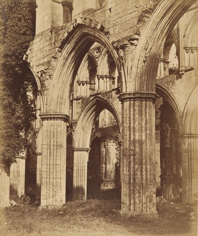 Rievaulx Abbey. Ser över kören, 1850-talet. av Joseph Cundall