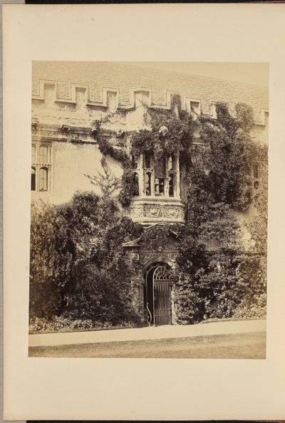 Biblioteket, St. John