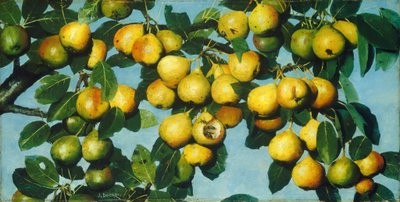 Mognar päron av Joseph Decker