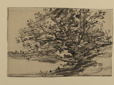 Study of Trees, 1870 (grafit på papper) av Joseph Frank Currier