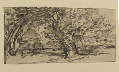 Study of Trees, 1870 (grafit på papper) av Joseph Frank Currier