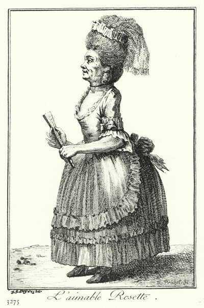 Den vackra rosetten (gravyr) av Joseph Franz von (after) Goez