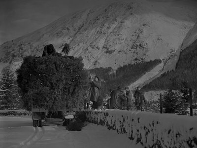 Lastbil fylld med julgranar på väg längs en snöig väg av Joseph Hardman
