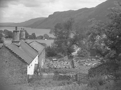 Får på en gård, sjö och fjäll i bakgrunden av Joseph Hardman