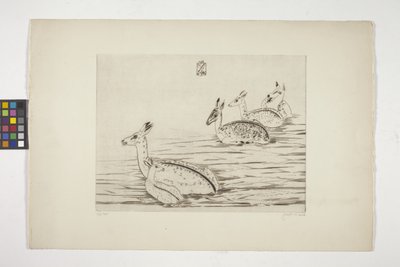 Cerfs Indochinois I (Indokinesisk hjort I) (gravyr på krämvävt papper) av Joseph Hecht