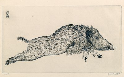 Vildsvin (Le Sanglier) (gravyr) av Joseph Hecht