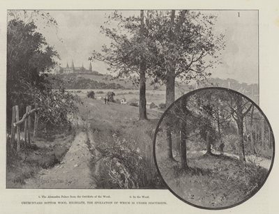 Churchyard Bottom Wood, Highgate, vars spoliering är under diskussion av Joseph Holland Tringham
