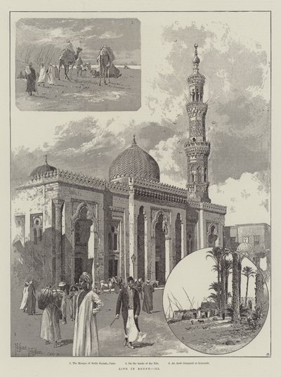 Livet i Egypten av Joseph Holland Tringham