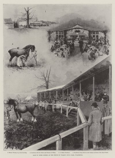 Försäljning av Shire-hästar på Prince of Wales stuteri, Wolferton av Joseph Holland Tringham