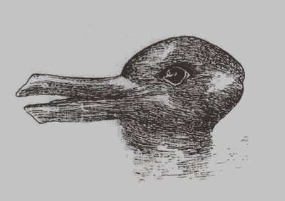 Anka-kanin illusion. Från: Jastrow, J. The mind