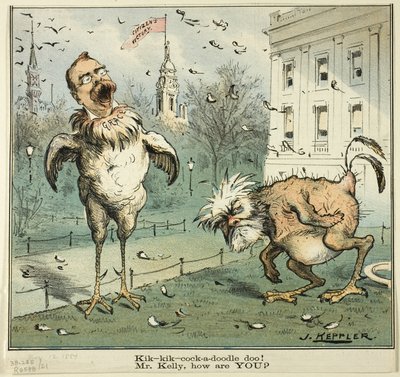 Kik-kik-cock-a-doodle doo! Mr Kelly, hur mår DU, från Puck av Joseph Keppler