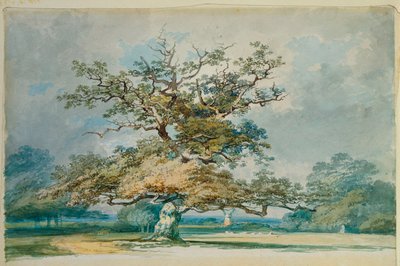 Ett landskap med en gammal ek av Joseph Mallord William Turner