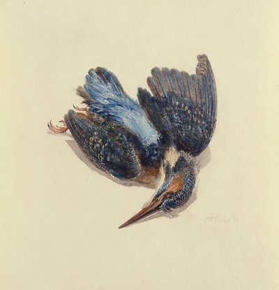 Kingfisher, från The Farnley Book of Birds, ca 1816 (penna & bläck och akvarell på papper) av Joseph Mallord William Turner