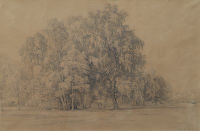 Grupp av björkträd i parken av Seebenstein slott i Nedre Österrike av Joseph Martin Höger