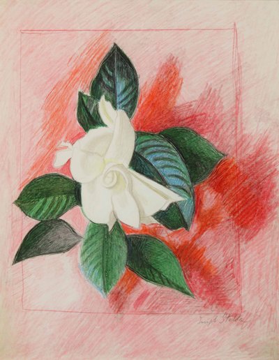 Gardenia, ca 1940 (färgpenna  grafit på papper) av Joseph Stella