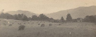 Landskap med träd och berg,ca. 1900 (foto) av Joseph T. Keiley