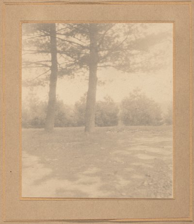 Landskap med träd, ca. 1900. av Joseph Turner Keiley