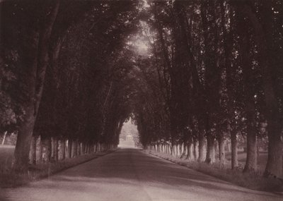 Uppfart, Château de Grand-Vaux, Savigny-sur-Orge, Vigiers familjehem,ca 1855 (foto) av Joseph Vigier