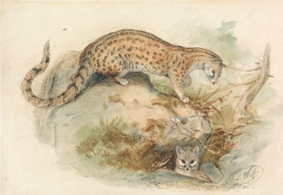 ryttare av Joseph Wolf