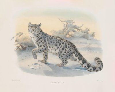  av Joseph Wolf