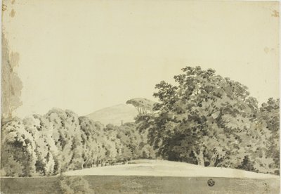Skogsbeklädd Landskap av Joseph Wright of Derby
