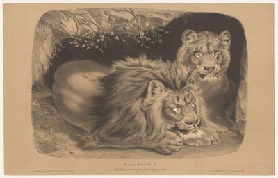 Lejon och lejoninna Lion et Lionne (titel på objekt) Djurstudier i två typer av krita (serietitel) Étude aux deux crayons par Z. Gengembre (serietitel på objekt) av Joseph Zephyris Gengembre
