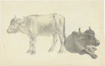Liggande och stående ko av Josephus Augustus Knip