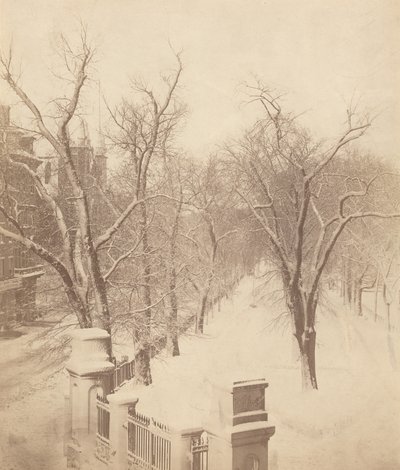 Boston Common Snow Scene,1850-talet (foto) av Josiah Johnson Hawes