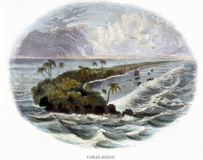 Korallrev, från Phenomena of Nature, 1849 av Josiah Wood Whymper