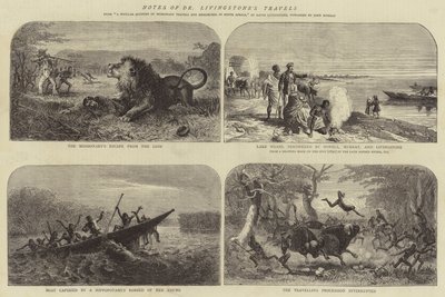 Anteckningar om Dr Livingstones resor av Josiah Wood Whymper