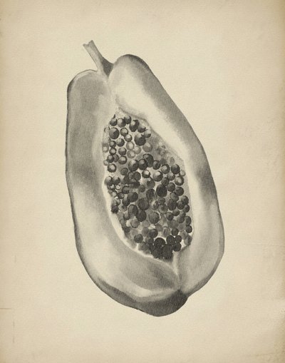 En halv tropisk papaya av Josie George