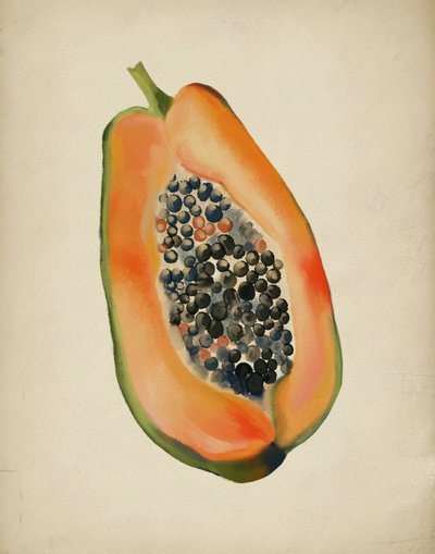 Halv färgglad papaya av Josie George