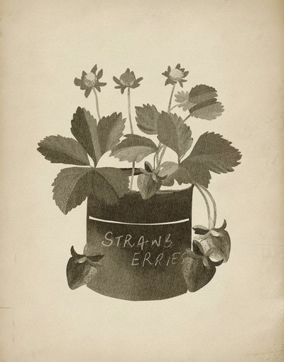 Illustration av jordgubbar i vintage-stil av Josie George