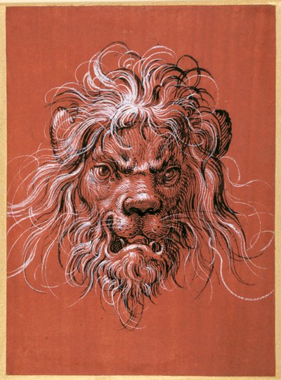 Lejonhuvud (penna och bläck med gouache på papper) av Jost Amman