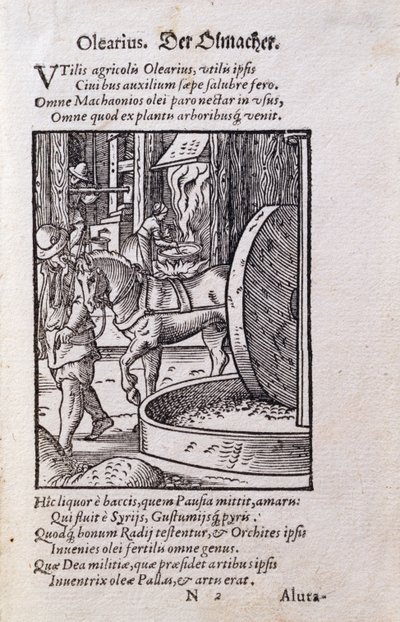 Oil Maker, illustration från den latinska upplagan av "De Omnibus Illiberalibus Sive Mechanics Artibus" med verser av Hans Sachs (1494-1576) pub. 1574 (träsnitt) av Jost Amman