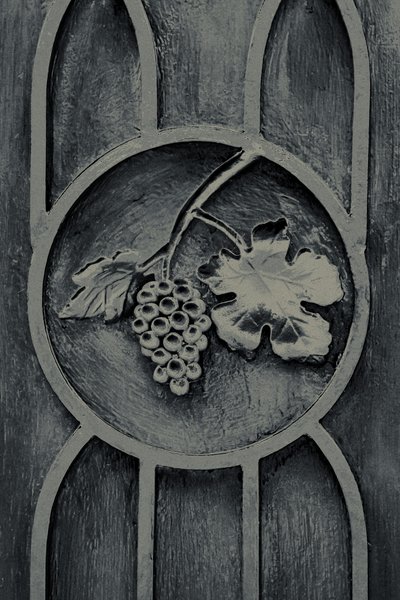 Fruits of the Garden, från serien The Observant, 2016 (fotografi) av Joy Lions