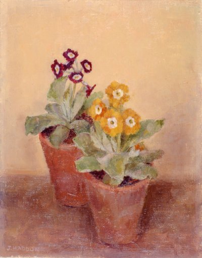 Ett par vallmor (målning) av Joyce Haddon