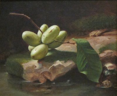 Stilleben med tassarna Paw Paws av Jr. Edward Edmondson