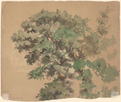 Träd [verso] av Jr. Enoch Wood Perry