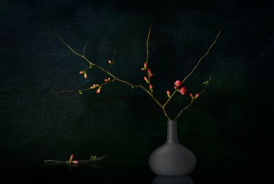 Mörka, blommande grenar av Juan Antonio Palacios