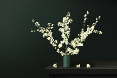 Färska vårblommor av Juan Antonio Palacios
