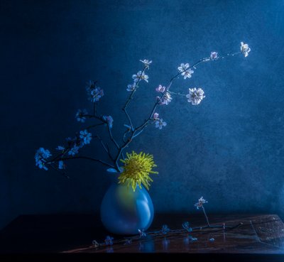 Blå blommor och vas av Judy Tseng