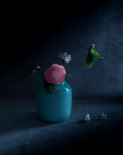 Stämningsfull rosa blomning av Judy Tseng