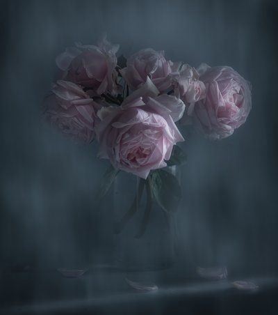 Stämningsfulla rosa rosor av Judy Tseng
