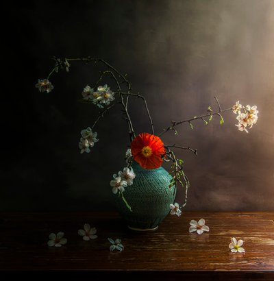  av Judy Tseng